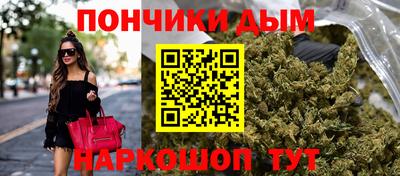 трава Гатчина