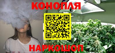 гидропоника Гагарин
