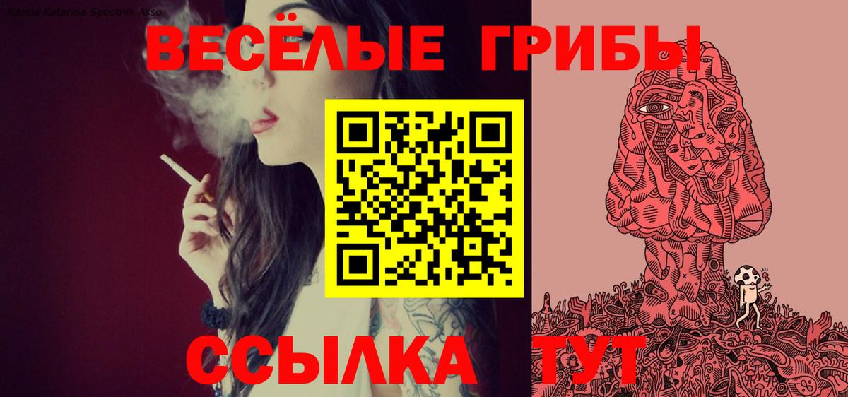 купить  цена  Вход с VPN  Мыски  Галлюциногенные грибы Cubensis 